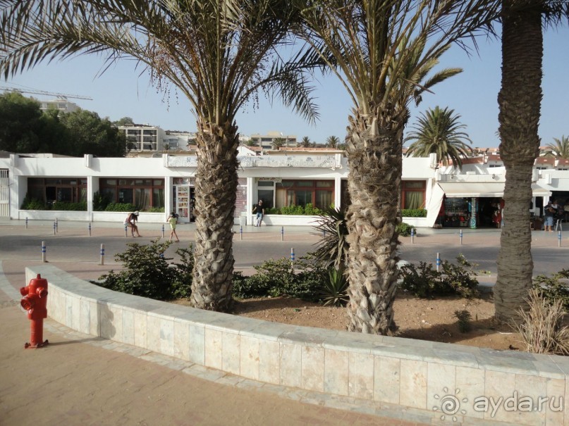 Здесь можно найти Петровича