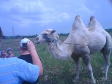 Родители вы неправы 