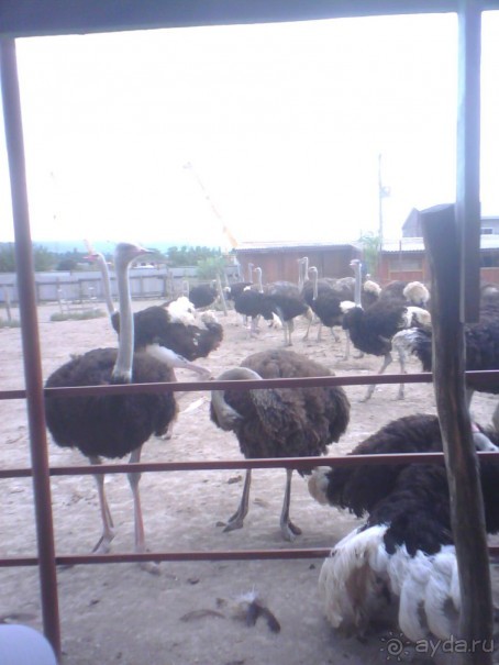 фото Natura Park Beach Eco Resort & Spa