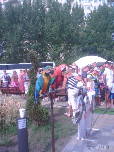 фото Natura Park Beach Eco Resort & Spa