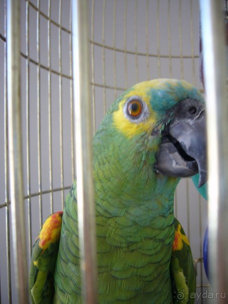 Отличный отель для спокойного отдыха