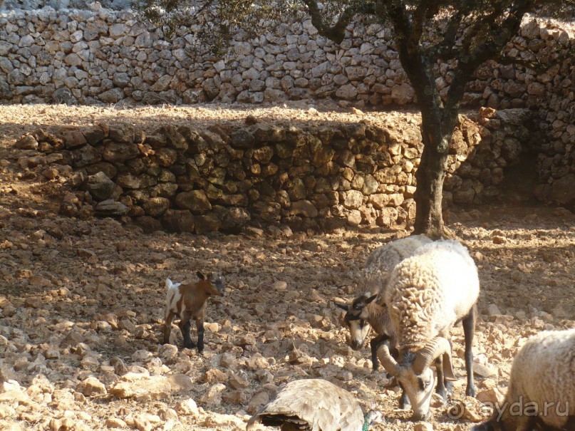 Путешествие по Закинфу