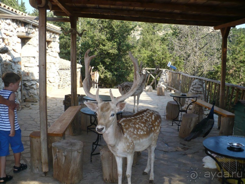 Путешествие по Закинфу