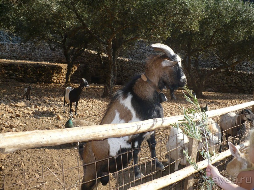 Путешествие по Закинфу