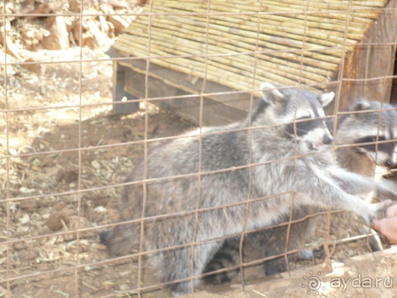 Путешествие по Закинфу