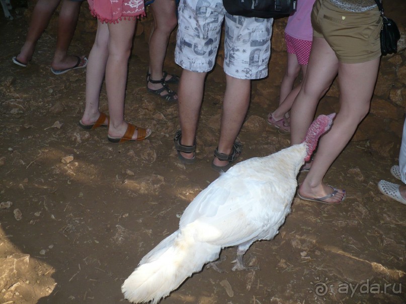 Путешествие по Закинфу