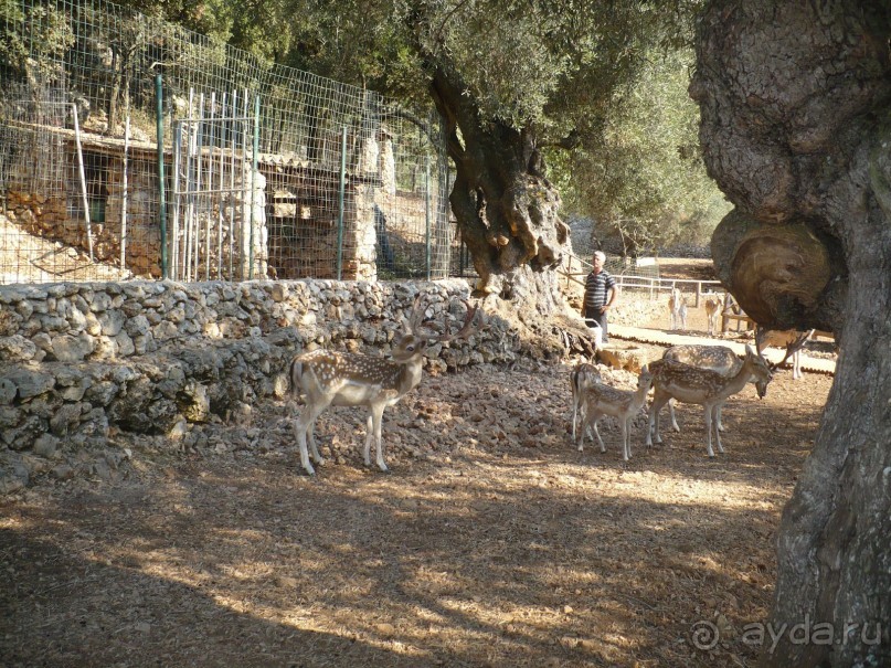 Путешествие по Закинфу