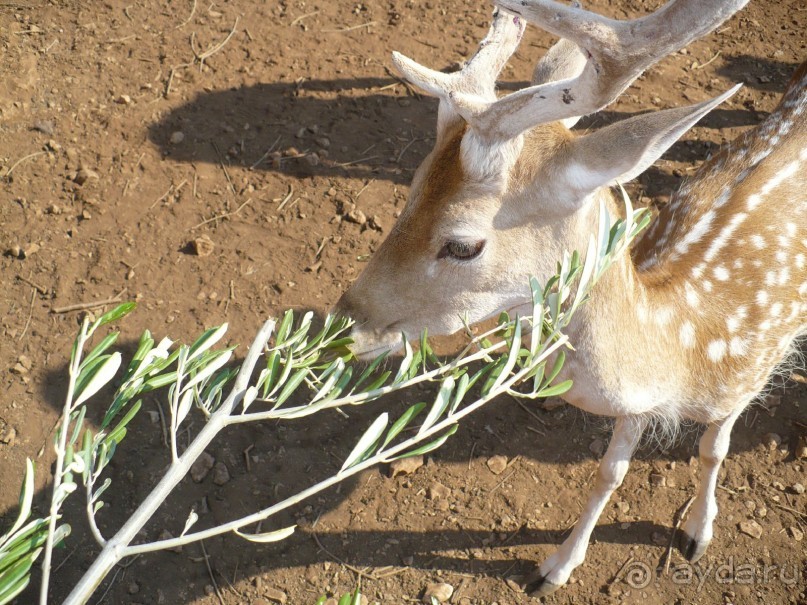 Путешествие по Закинфу
