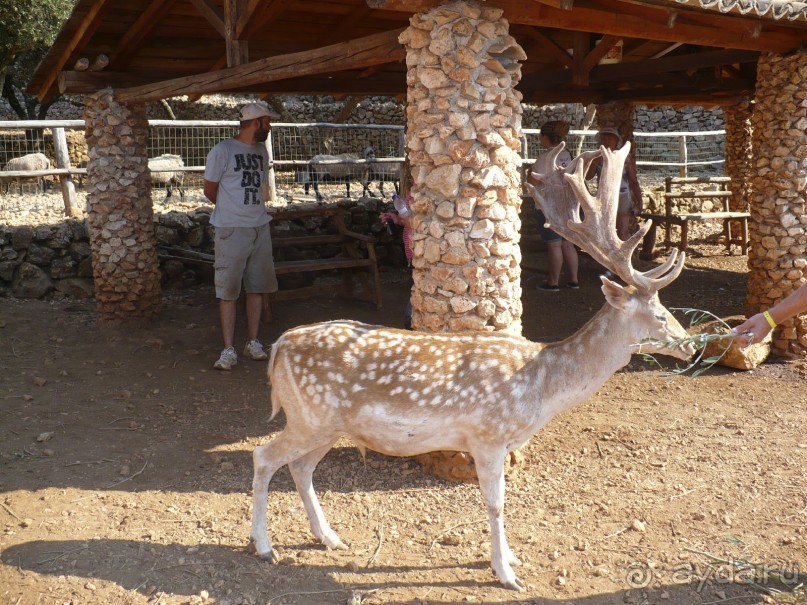 Путешествие по Закинфу