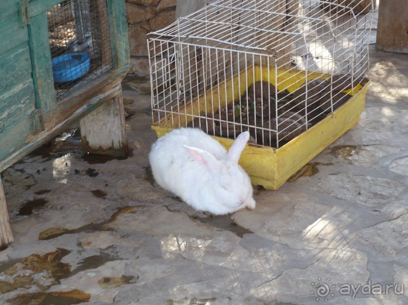 Путешествие по Закинфу