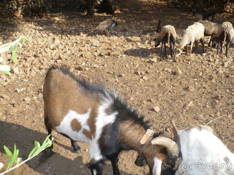 Путешествие по Закинфу