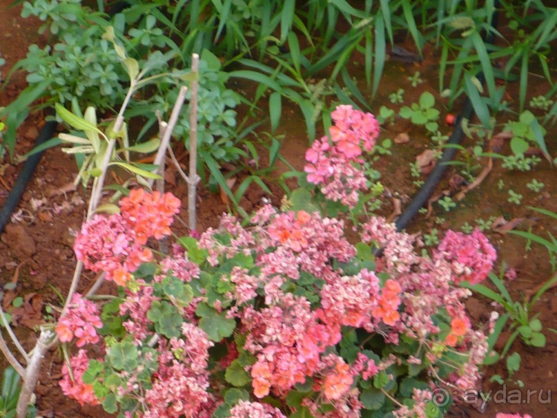 Приличный отель