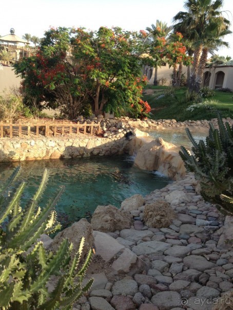 Сам отель, территория,ресепшн, столовая произвели восторг и отличное впечатление!