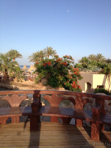 Сам отель, территория,ресепшн, столовая произвели восторг и отличное впечатление!