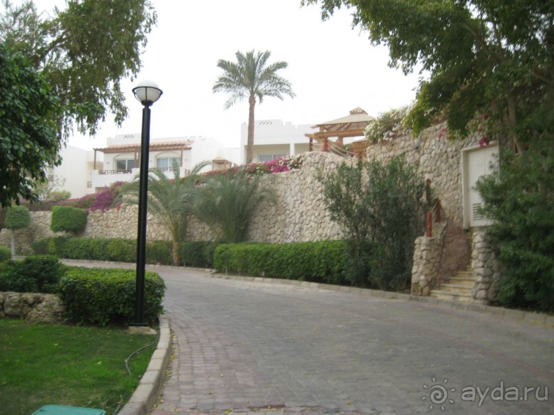 Так  в принципе  нормально 