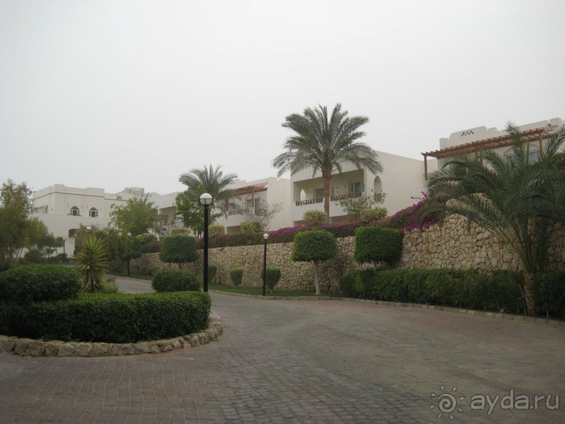 Так  в принципе  нормально 