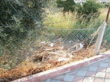 Ужас!!!!!!!!!!!!!!!!!!!!