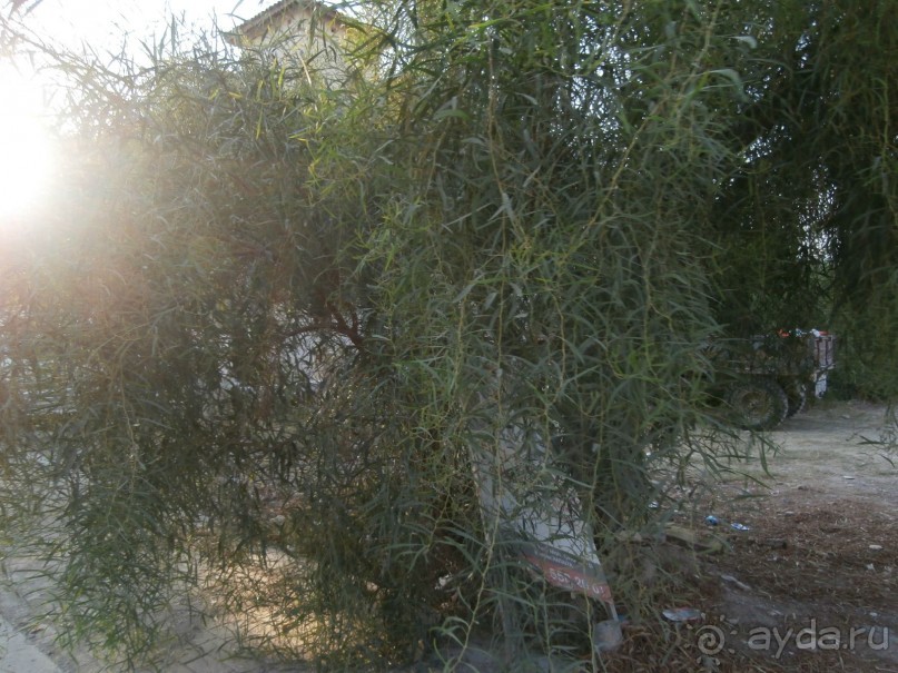 Ужас!!!!!!!!!!!!!!!!!!!!