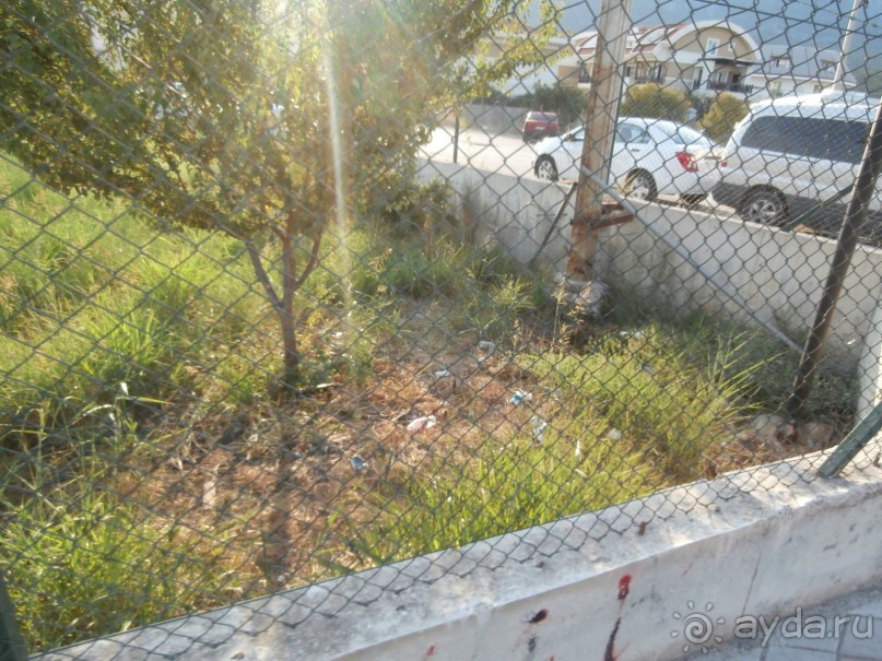 Ужас!!!!!!!!!!!!!!!!!!!!