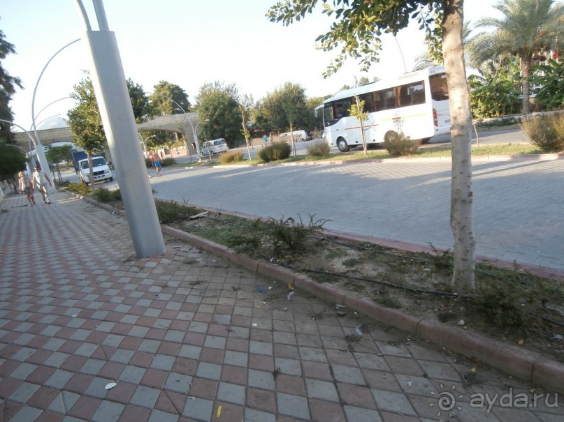 фото Tortuga Bay Puntacana Resort & Club