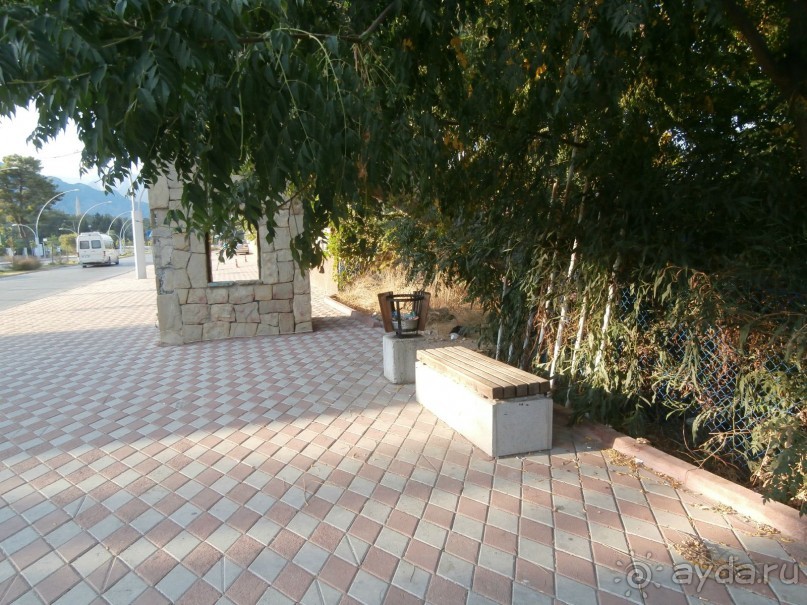 фото Tortuga Bay Puntacana Resort & Club