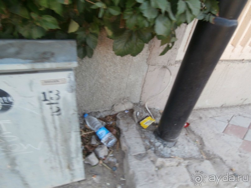 фото Tortuga Bay Puntacana Resort & Club