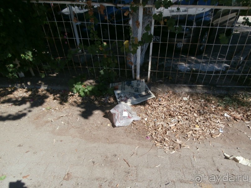 фото Tortuga Bay Puntacana Resort & Club