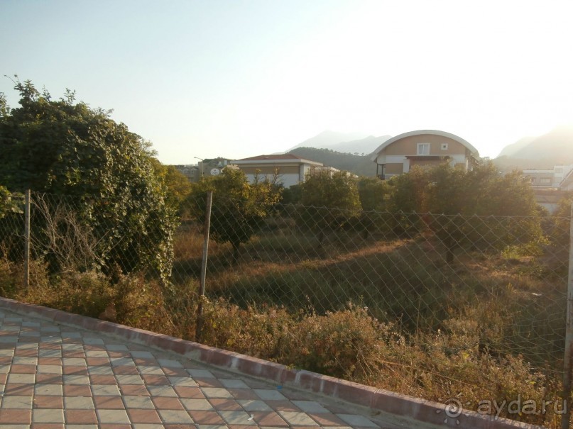 фото Tortuga Bay Puntacana Resort & Club