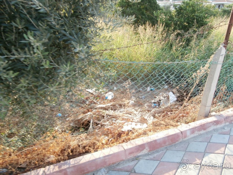 фото Tortuga Bay Puntacana Resort & Club