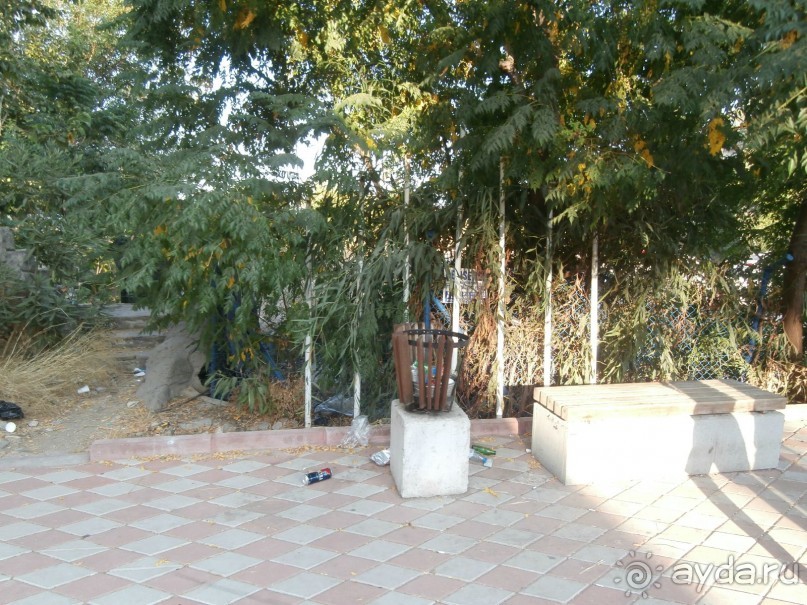 фото Tortuga Bay Puntacana Resort & Club