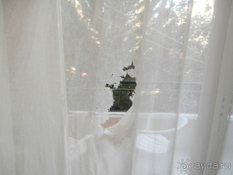 фото Tortuga Bay Puntacana Resort & Club