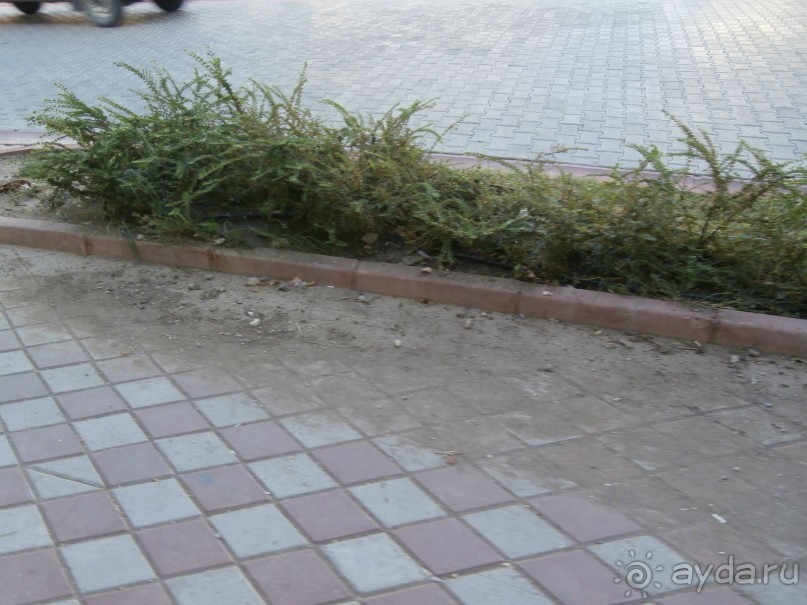 фото Tortuga Bay Puntacana Resort & Club