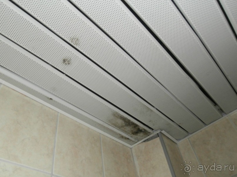 фото Tortuga Bay Puntacana Resort & Club