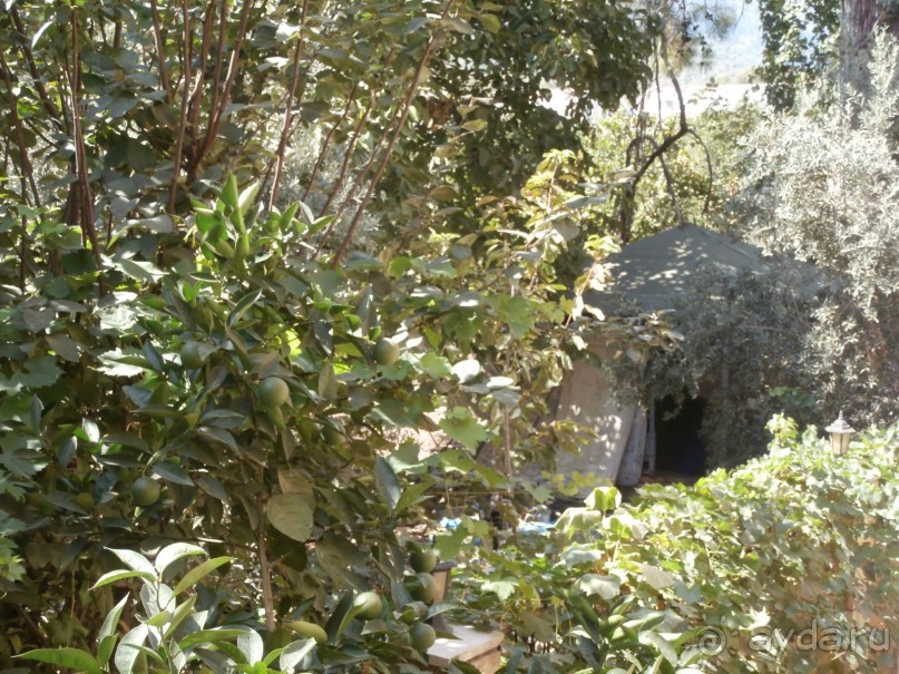 фото Tortuga Bay Puntacana Resort & Club