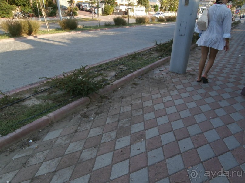 фото Tortuga Bay Puntacana Resort & Club