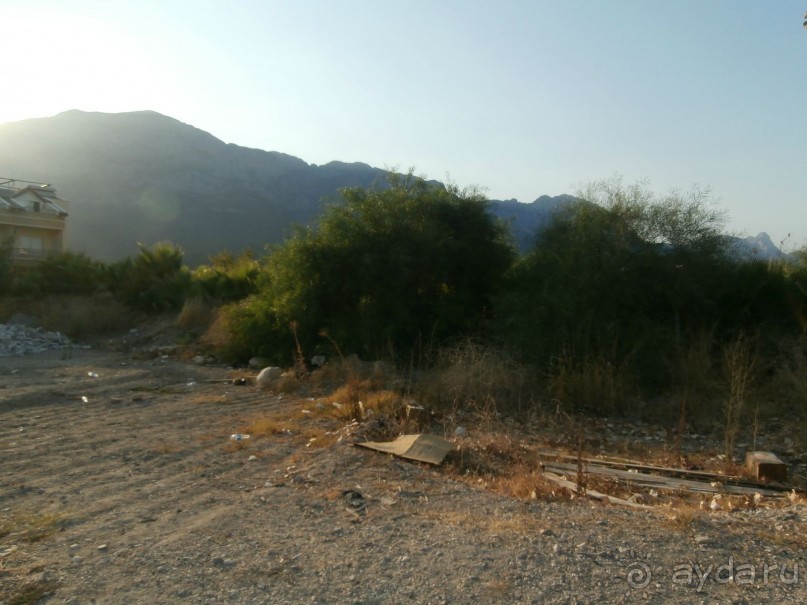 фото Tortuga Bay Puntacana Resort & Club