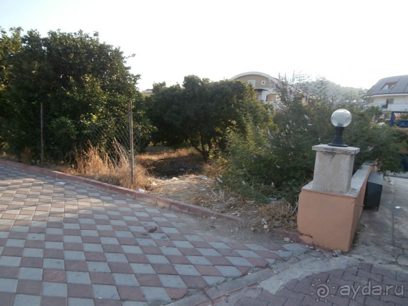 фото Tortuga Bay Puntacana Resort & Club