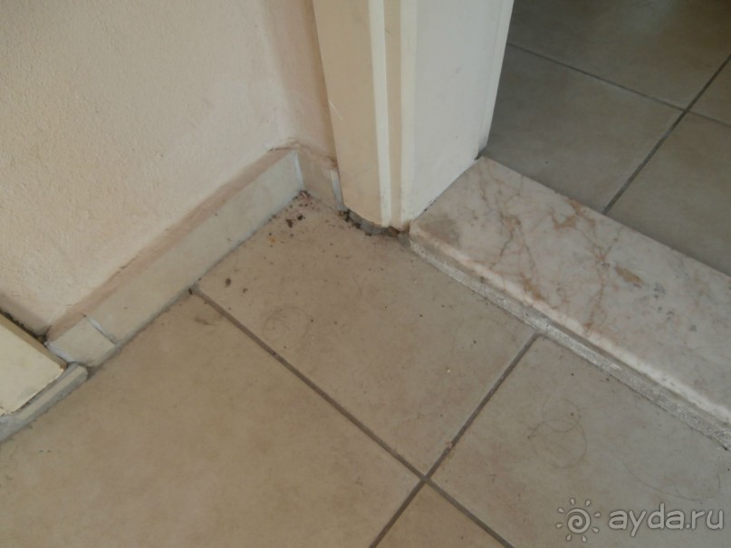 фото Tortuga Bay Puntacana Resort & Club