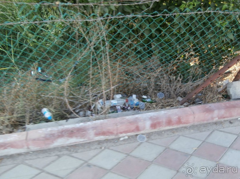 фото Tortuga Bay Puntacana Resort & Club