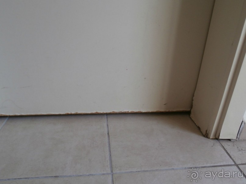 фото Tortuga Bay Puntacana Resort & Club