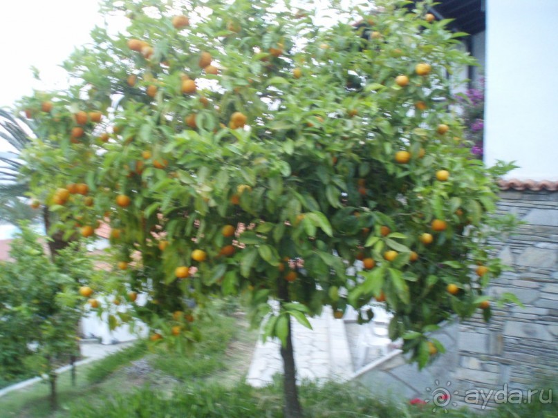 Замечательный отдых