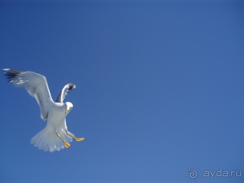 Замечательный отдых