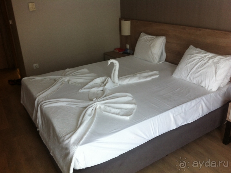 отель за свои деньги