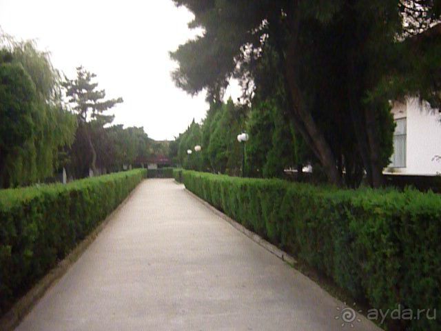 фото Золотая гора