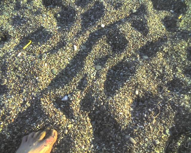 хорошее соотношение цена/качество