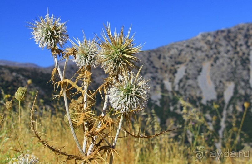 И снова Крит!