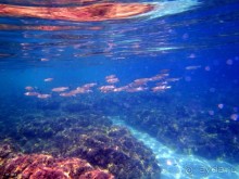 И снова Крит!