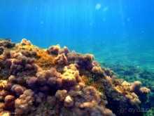 И снова Крит!