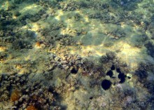 И снова Крит!