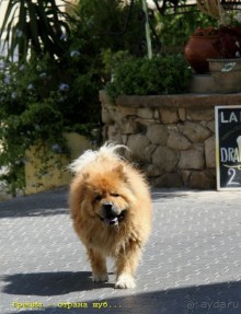 И снова Крит!